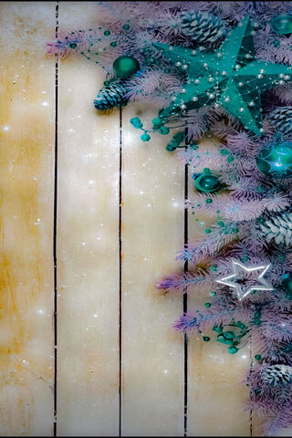 Festive Cheer: A Merry Christmas Delight! 🎄✨