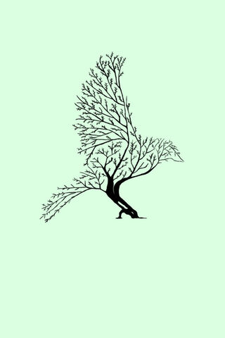 Nature's Feathered Embrace 🌳🐦