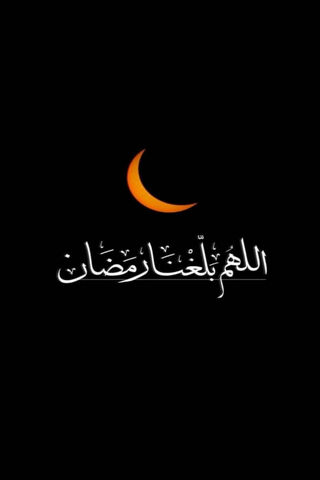 Embracing the Spirit of..