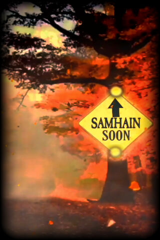 Samhain Approaches: Embrace the Mystique 🍂✨