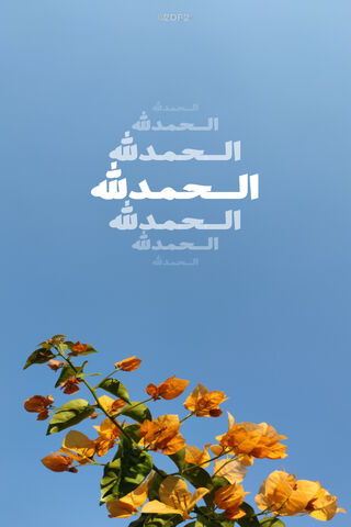 Gratitude Blooms 🌼✨