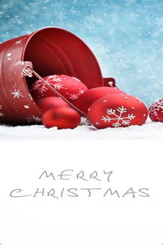 Festive Cheer in a Bucket 🎄✨