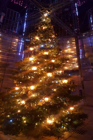 Magical Christmas Glow 🎄✨