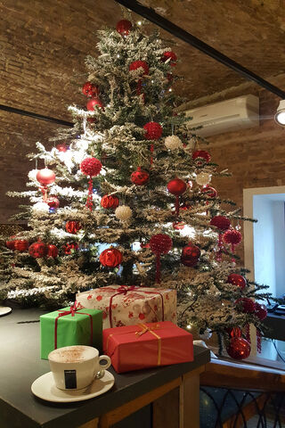 Festive Cheer Under the Tree 🎄✨