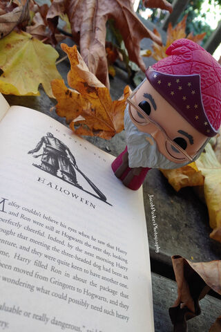 Magical Moments with Funko Wizard 🎩✨