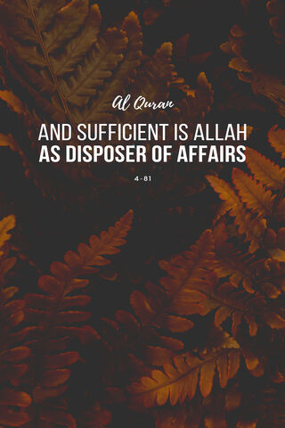 Divine Assurance: Trust in Allah 🌿✨