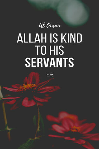 Quran Verse Islam