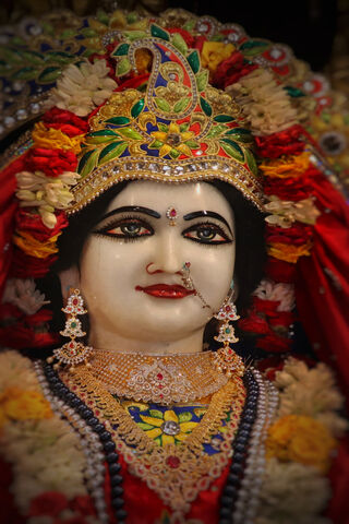 Divine Grace of Radha Rani 🌸✨