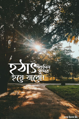 A Sudden Burst of Serenity 🌅