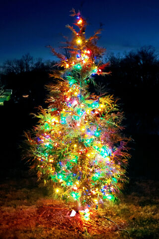Twinkling Magic of Christmas Eve ✨🎄