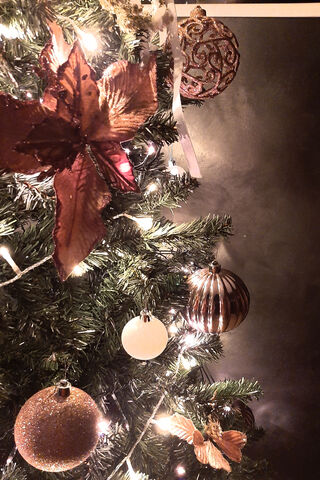 Sparkling Holiday Cheer ✨🎄