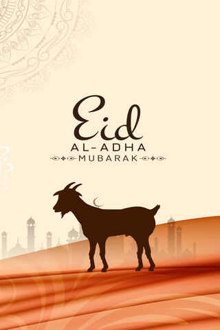 Celebrating Eid Ul Adha..