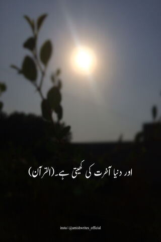 Wisdom from the Quran 🌙✨