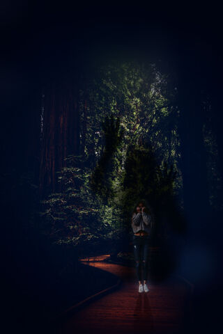 Whispers of the Forest 🌲✨
