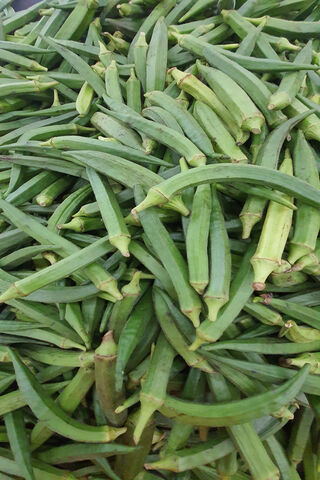 Fresh Picks of Market Ladies Finger 🌱✨