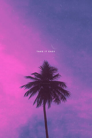 Chill Vibes Under the Palm 🌴✨