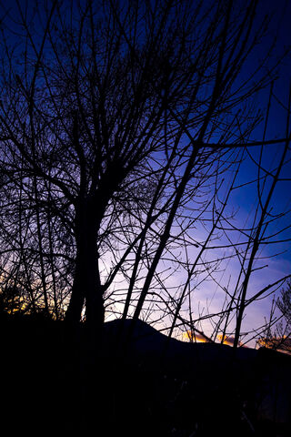 Twilight Whispers 🌅