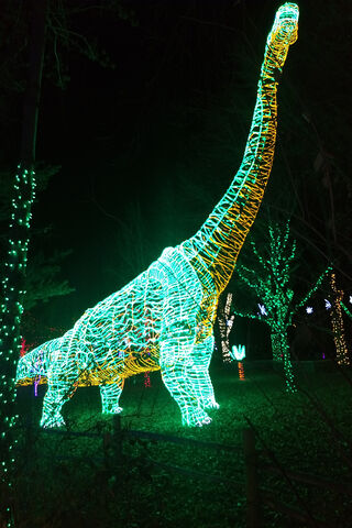 Dino-Mite Holiday Lights! 🎄🦖
