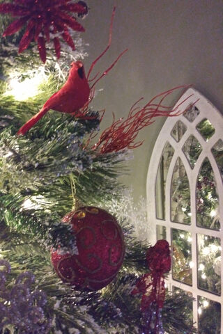 Festive Cheer: The Christmas Cardinal