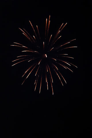 Echoes of Celebration 🎆