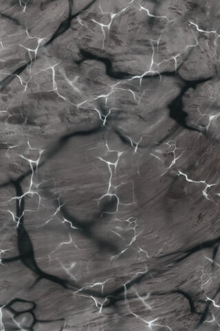 Mystical Veins of Nature 🍃✨