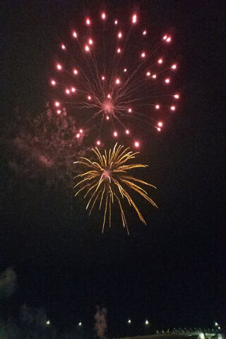 Celebration in the Sky: Fourth of July Fireworks 🎆🇺🇸