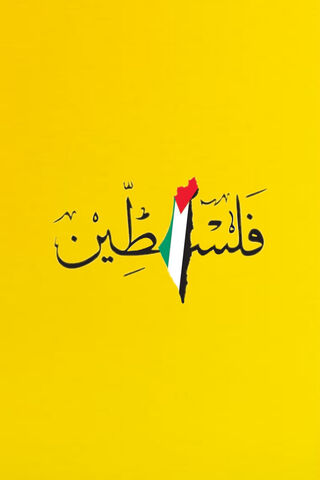 Unity in Colors: The Spirit of Palestine 🇵🇸✨