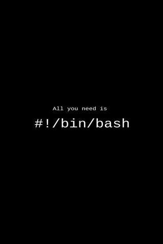 Bash Wallpaper - Download to your mobile from PHONEKY