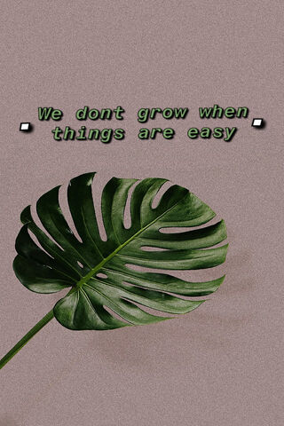 Resilience in Nature 🌿