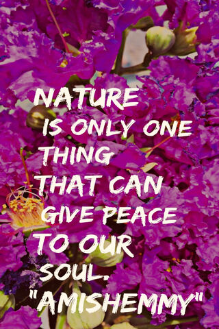Nature's Serenity: A Soulful Reminder 🌸✨
