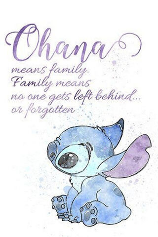 Ohana: The Heart of Family 💖