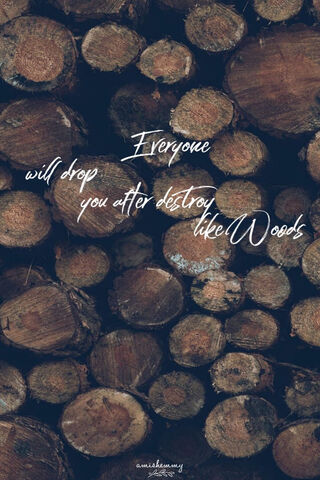 Quotes And Sayings