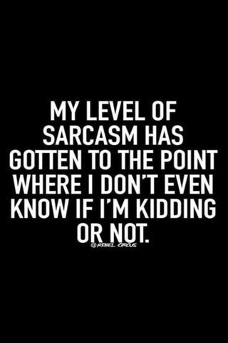 The Art of Sarcasm 🎭