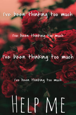 Roses and Reflections: A Call for Help 🌹