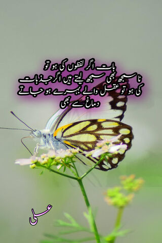 Embracing Change: A Butterfly's Wisdom 🦋✨