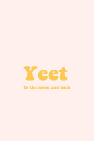 Yeet: A Journey to the Moon and Back! 🌙✨