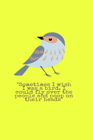 Witty Wings: The Bird with a Sense of Humor! 🐦😂