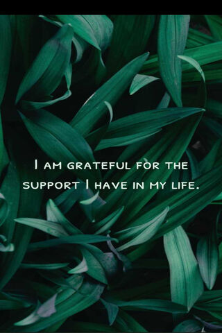 Embracing Gratitude 🌿