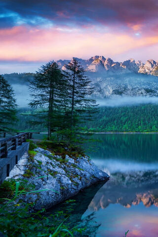 Nature's Healing Embrace