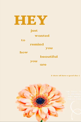A Gentle Reminder of Beauty 🌼✨