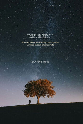 Starlit Journey with EXO 🌌✨