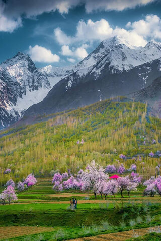 H4K3R: Nature's Digital Canvas 🌸🏔️