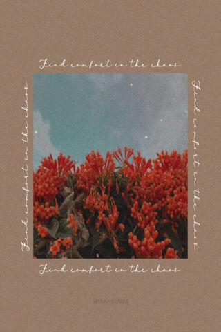 Embracing Serenity Amidst Turmoil 🌼✨