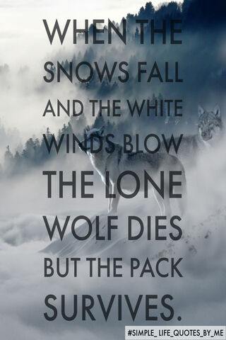 Strength in Unity: A Life Lesson 🐺❄️