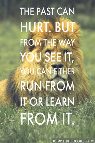 Life Quotes
