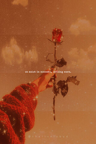 Aesthetic Quote 2
