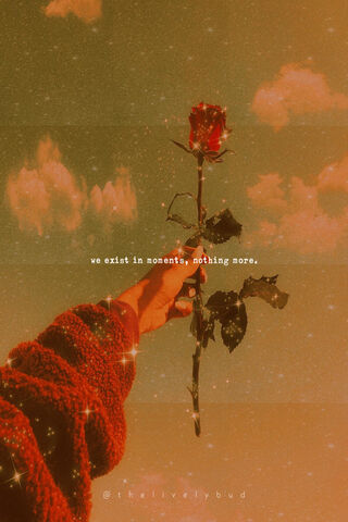 Aesthetic Quote 1