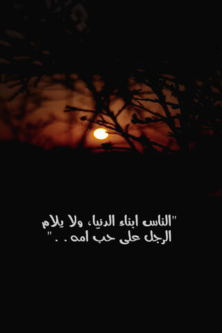 Imam Ali Sayings
