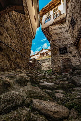 Whispers of Serenity