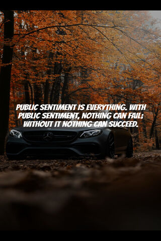 The Power of Public Sentiment 🌟